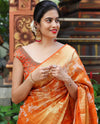 Orange Jal Silk Woven Kanjivaram Saree