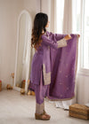Traditional Sage Embroidered Punjabi Suit Set
